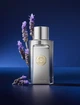 Парфюмированная Вода Antonio Banderas The Icon Elixir 50 Мл - изображение 8