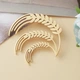 Брошь из стали BROCHE бижутерия Растения Колоски золотистая BRBF115468 - изображение 2