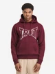 Худі флісовий чоловічий TapOut LIFESTYLE BASIC HOODIE 940006-2103 S Oxblood/Off-White (4255581589574) - изображение 1