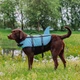 Спасательный жилет для собак Nobby Sharki Swimming L голубой 40 см 61033 - изображение 3