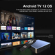 Смарт приставка Dcolor GD2 2/32Гб Google TV 12 Netflix - зображення 6