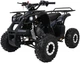 Квадроцикл Wildpeak 110CC бензиновий чорний PSP.ATV006.CZ (5903864960495) - зображення 1