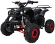 Квадроцикл Wildpeak 110CC бензиновий червоний PSP.ATV006.CR (5903864960501) - зображення 1