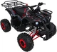 Квадроцикл Wildpeak 110CC бензиновий червоний PSP.ATV006.CR (5903864960501) - зображення 3