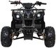 Квадроцикл Wildpeak 110CC бензиновий чорний PSP.ATV006.CZ (5903864960495) - зображення 11