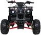 Квадроцикл Wildpeak 110CC бензиновий червоний PSP.ATV006.CR (5903864960501) - зображення 13