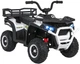 Електроквадроцикл ATV Robust 01 білий PA.XMX-651.BIA (5903864983463) - зображення 14