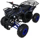 Квадроцикл Wildpeak 110CC бензиновий синій PSP.ATV006.NIE (5903864960518) - зображення 2