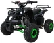 Квадроцикл Wildpeak 110CC бензиновий зелений PSP.ATV006.ZIE (5903864960525) - зображення 1