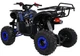 Квадроцикл Wildpeak 110CC бензиновий синій PSP.ATV006.NIE (5903864960518) - зображення 18