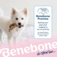Жувальна іграшка Benebone Wishbone Бенебоне зі смаком курки для цуценят вагою до 27 кг (854111004897) - изображение 6