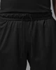 Шорты мужские Jordan Df Spt Ess Black L Чорний IF0891-010 - изображение 4