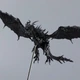 Фігурка дракона Alduin Skyrim The Elder Scrolls V — колекційна іграшка 25 см, детальна модель з гри, подарунок геймеру - зображення 6