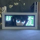 Многослойный Ночник лампа аниме Клинок рассекающий демонов светильник Муичиро Токито RGB - изображение 1