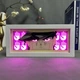 Многослойный Ночник лампа аниме Jotaro Kujo ДжоДжо светильник Джотаро Jojo RGB - изображение 1