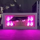 Многослойный Ночник лампа аниме Jotaro Kujo ДжоДжо светильник Джотаро Jojo RGB - изображение 2