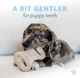 Набір жувальних іграшок для цуценят Benebone Puppy Pack зі смаком бекону Dental Chew + Wishbone Бенебоне для собак вагою до 7 кг (854111004491) - зображення 3
