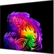 Телевизор LG OLED 97" OLED97G64LW - изображение 6