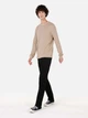 Джемпер мужской Colin's CL1071672BEI L Beige (8684112386034) - изображение 3