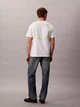 Футболка хлопковая мужская Calvin Klein 4RD810G(White) L Белая с принтом (196669381304) - изображение 4