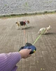 Автоматический двухсторонний поводок для двух собак с фонариком и системой 360° - изображение 5