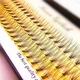 Накладные пучковые ресницы Nesura Eyelash 10D 9мм - изображение 5