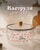 Стеклянная кастрюля из боросиликатного стекла / жаропрочная звездная кастрюля с крышкой для супов и тушения - изображение 1