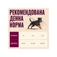 Сухий корм Carnilove Active Salmon & Turkey Small Breed для cобак малих порід лосось та індичка, 1.5 кг (8595602581269) - зображення 5