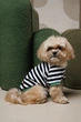 Одежда Pet Fashion Breeze Футболка для собак L (1111225442) - изображение 4