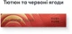 Блок стиков для нагрева табака TEREA Ruby Fuse 10 пачек (7622100824497_n) - изображение 2