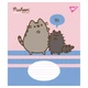 Зошит учнівський YES Pusheen The Cat 767614 12 аркушів Різнокольоровий shop (4823092292124) - изображение 2