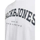 Футболка JJECALEB VARSITY TEE SS O-NECK NOOS Jack & Jones 12257579-White XL Білий (5715602681605) - изображение 4