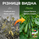 Удобрение кристаллическое Stimul NPK 200г для огурцов кабачков и патиссонов подкормка минеральная корневая - изображение 5