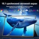 Монитор портативный 16.1" Teamgee N2 Full HD IPS 60 Гц (101955137) - Уценка - изображение 2