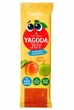 Пастила фруктова DEMI Yagoda Joy із соком абрикосу 40 шт*15 г (59643) - зображення 1