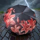 Жіноча парасолька напівавтомат Frei Regen Lily Fap817 Red на 9 спиць - зображення 2