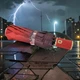 Жіноча парасолька автомат Rainwalker Cats R4054 Red на 9 спиць - зображення 6