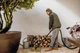 Професійний пилосос Karcher WD 3 V-17/4/20 (1.628-130.0) - зображення 7