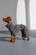 Костюм для собак Dogs Bomba Party сiрий D-197 2 р. - изображение 2