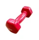 Гантель для фітнесу з вініловим покриттям Generation Fitness FF51D3A-2kg (червоний) - зображення 1