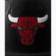 М'яч баскетбольний Wilson NBA TEAM PREMIERE BSKT CHI BULLS size 7 Чорний (WZ4026405XB7 7) - зображення 8