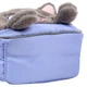 Рюкзак дитячий Yes My kitty K-34XS для дівчини 31 см (550443) - изображение 9