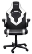 Игровое кресло Trust GXT 703W RIYE, Black/White (25130) - изображение 1