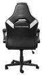 Игровое кресло Trust GXT 703W RIYE, Black/White (25130) - изображение 5