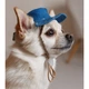 Панама Pet Fashion Stars XS - синій - изображение 4