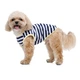 Майка для собак Pet Fashion Tropic XS-2 - біло-синій - зображення 6