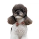 Аксесуар для собак Pet Fashion Ruta Метелик S-M - бежевий - изображение 3