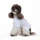 Футболка для собак Pet Fashion Ukraine XS - білий - изображение 4