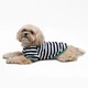 Футболка для собак Pet Fashion Breeze XXS - біло-чорний - зображення 5