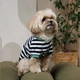 Футболка для собак Pet Fashion Breeze XXS - біло-чорний - зображення 8
